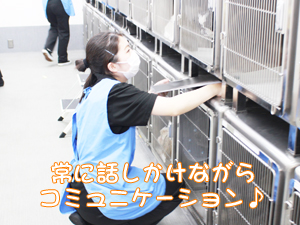 ドッグパークルームのお世話！